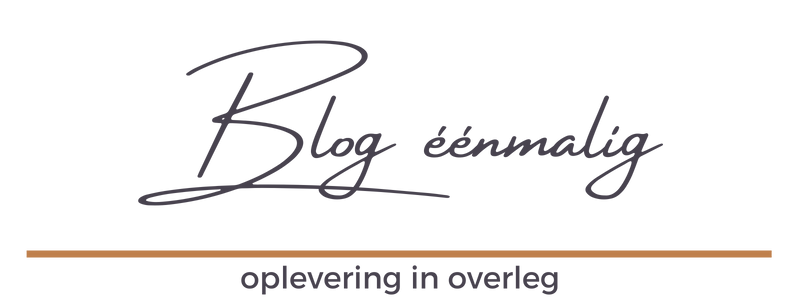 blogs schrijven eenmalig