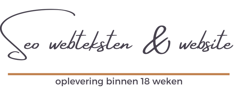 seo tekst en website